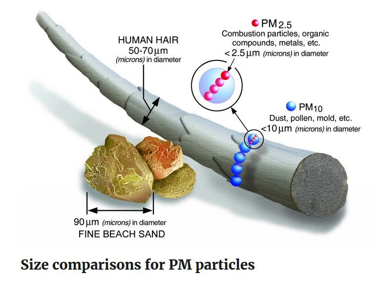 Picture caption PM 2.5 is a standard for microfine particles which are harmful