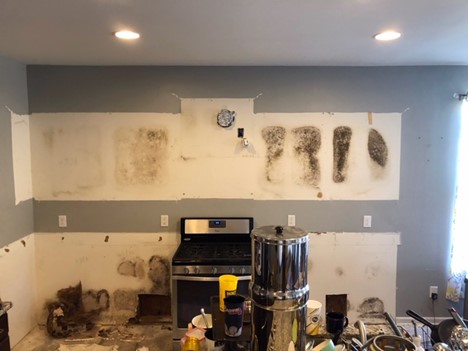 humidity condensing causes mold growth on cold walls behind cupboards