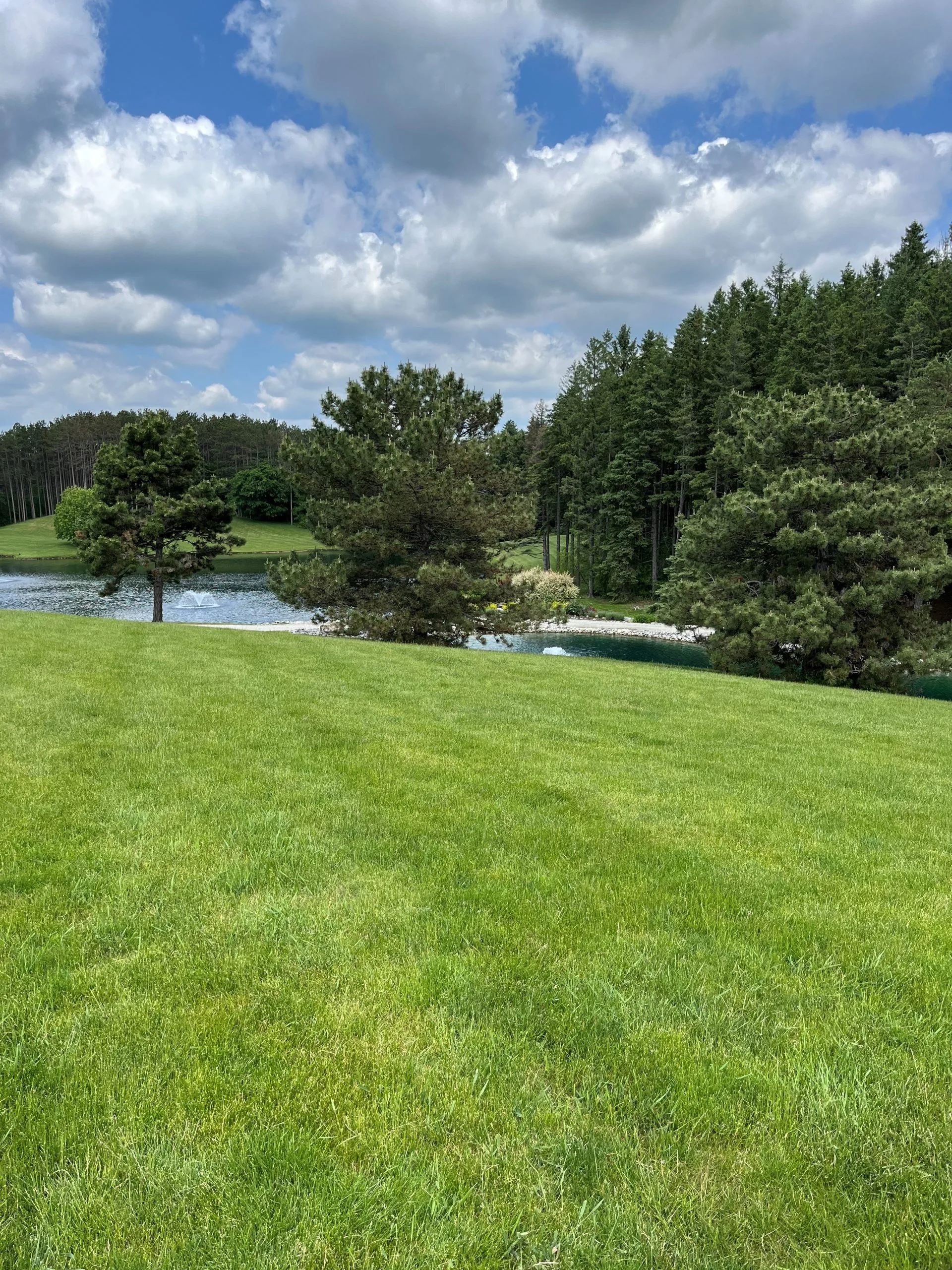 A grassy field with trees and a lake in the background.